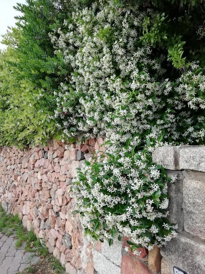 Bed and Breakfast La Forma Dell'Acqua Su Forti Exterior foto